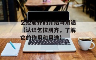 焰翼（一款热门游戏的详细介绍）