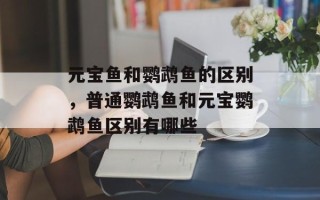 元宝鱼和鹦鹉鱼的区别，普通鹦鹉鱼和元宝鹦鹉鱼区别有哪些