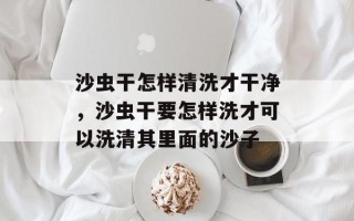 沙虫干怎样清洗才干净，沙虫干要怎样洗才可以洗清其里面的沙子