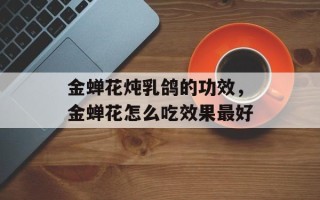 金蝉花炖乳鸽的功效，金蝉花怎么吃效果最好