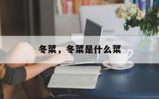 冬菜，冬菜是什么菜