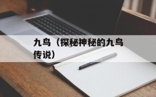 烹肉(叔宠)金丙（叔宠烹肉技巧分享）