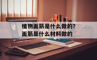 植物面筋是什么做的？面筋是什么材料做的