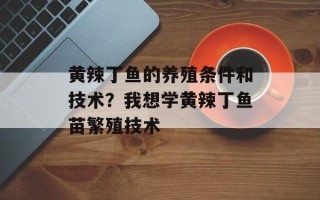 黄辣丁鱼的养殖条件和技术？我想学黄辣丁鱼苗繁殖技术