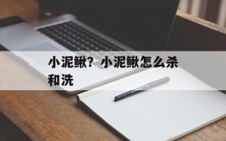 小泥鳅？小泥鳅怎么杀和洗