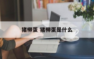 猪柳蛋 猪柳蛋是什么