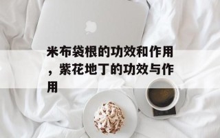 米布袋根的功效和作用，紫花地丁的功效与作用