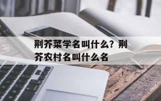 荆芥菜学名叫什么？荆芥农村名叫什么名
