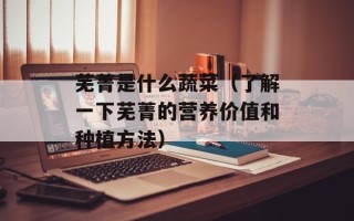 红高粱电视剧央视网，红高粱电视剧演员