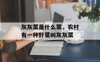 灰灰菜是什么菜，农村有一种野菜叫灰灰菜
