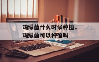 鸡纵菌什么时候种植，鸡纵菌可以种植吗