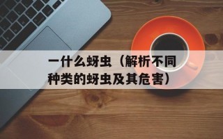 失魂月夜（一场关于灵魂的迷幻之夜）