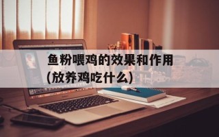 鱼粉喂鸡的效果和作用(放养鸡吃什么)