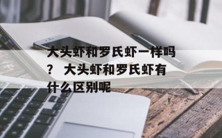 大头虾和罗氏虾一样吗？ 大头虾和罗氏虾有什么区别呢