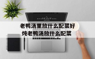 老鸭汤里放什么配菜好 炖老鸭汤放什么配菜