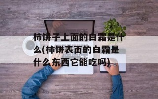 柿饼子上面的白霜是什么(柿饼表面的白霜是什么东西它能吃吗)