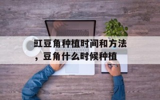 豇豆角种植时间和方法，豆角什么时候种植