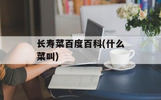 长寿菜百度百科(什么菜叫)