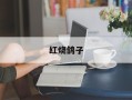 红烧鸽子