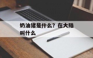 奶油猪是什么？在大陆叫什么
