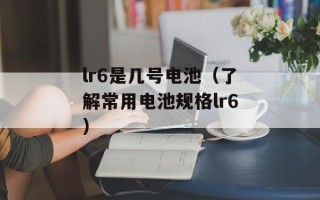 凌可乐（一个年轻有潜力的音乐人）