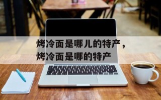 烤冷面是哪儿的特产，烤冷面是哪的特产
