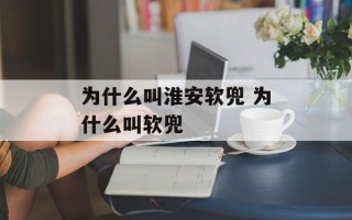 为什么叫淮安软兜 为什么叫软兜