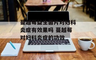 蔓越莓益生菌片对妇科炎症有效果吗 蔓越莓对妇科炎症的功效