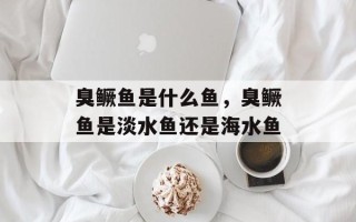 臭鳜鱼是什么鱼，臭鳜鱼是淡水鱼还是海水鱼