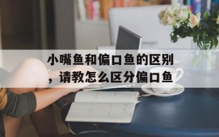小嘴鱼和偏口鱼的区别，请教怎么区分偏口鱼