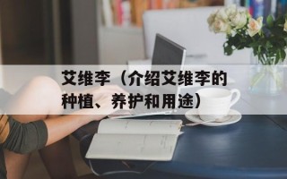红薯面的做法，红薯面的做法大全简单又好吃