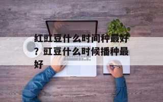 红豇豆什么时间种最好？豇豆什么时候播种最好