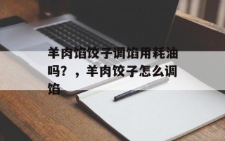 羊肉馅饺子调馅用耗油吗？，羊肉饺子怎么调馅