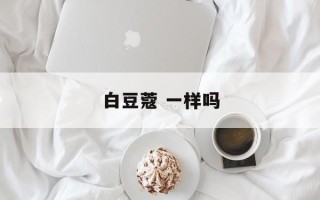 白豆蔻 一样吗