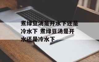 煮绿豆汤是开水下还是冷水下 煮绿豆汤是开水还是冷水下