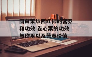 圆白菜炒西红柿的营养和功效 卷心菜的功效与作用以及营养价值