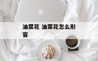 油菜花 油菜花怎么形容