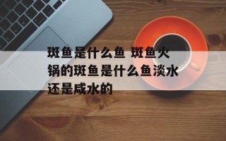 斑鱼是什么鱼 斑鱼火锅的斑鱼是什么鱼淡水还是咸水的