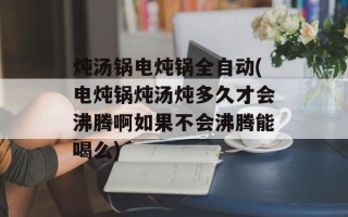 炖汤锅电炖锅全自动(电炖锅炖汤炖多久才会沸腾啊如果不会沸腾能喝么)