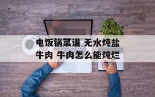 电饭锅菜谱 无水炖盐牛肉 牛肉怎么能炖烂