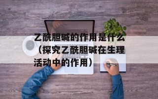 火影忍者558（最新一集剧情解析）