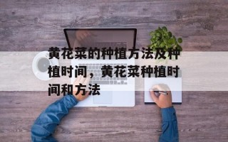 黄花菜的种植方法及种植时间，黄花菜种植时间和方法