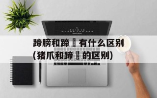 蹄膀和蹄髈有什么区别(猪爪和蹄髈的区别)