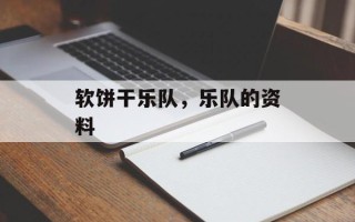 软饼干乐队，乐队的资料