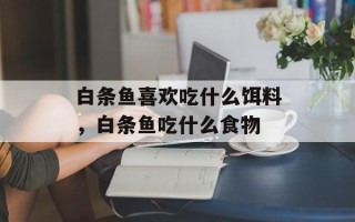 白条鱼喜欢吃什么饵料，白条鱼吃什么食物