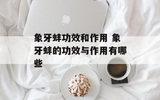 象牙蚌功效和作用 象牙蚌的功效与作用有哪些