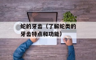 莲子的营养价值与功效都有哪些，