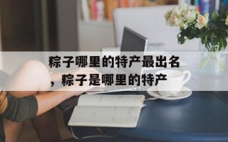 粽子哪里的特产最出名，粽子是哪里的特产