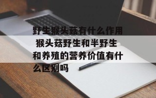 野生猴头菇有什么作用 猴头菇野生和半野生和养殖的营养价值有什么区别吗