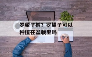 罗望子树？罗望子可以种植在盆栽里吗